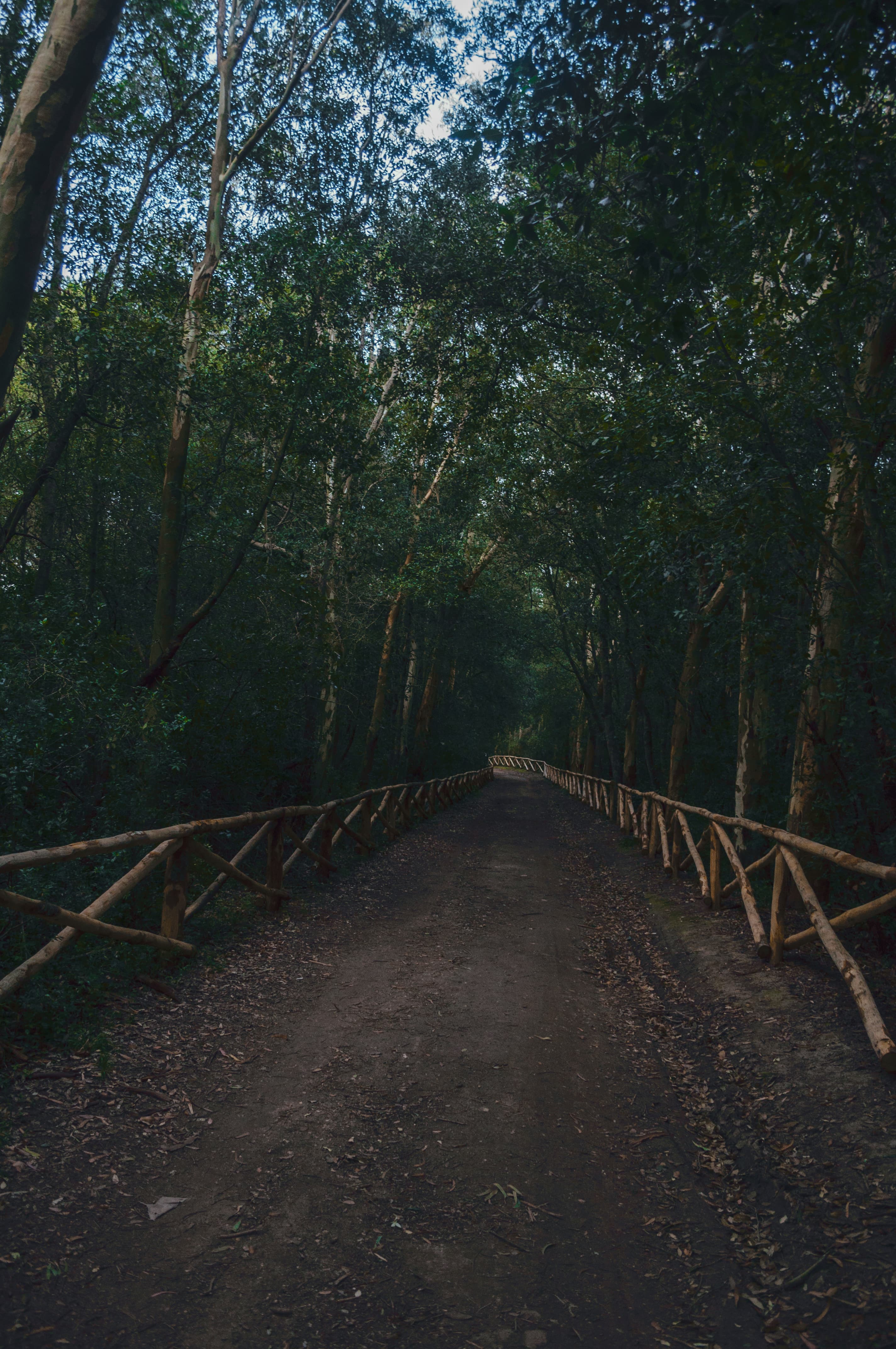 Le Cesine - Immagine 6