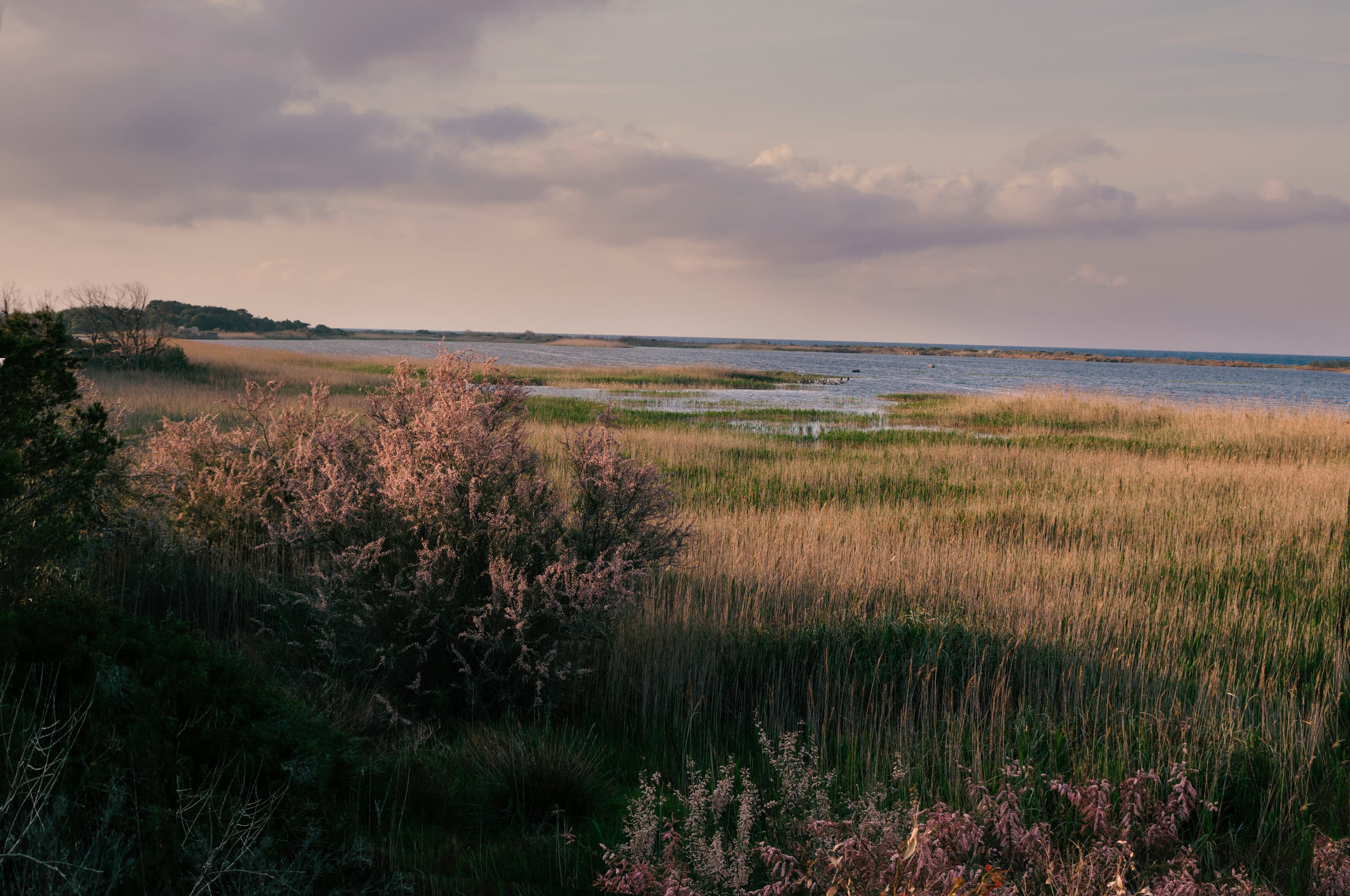 Passeggiata nella natura