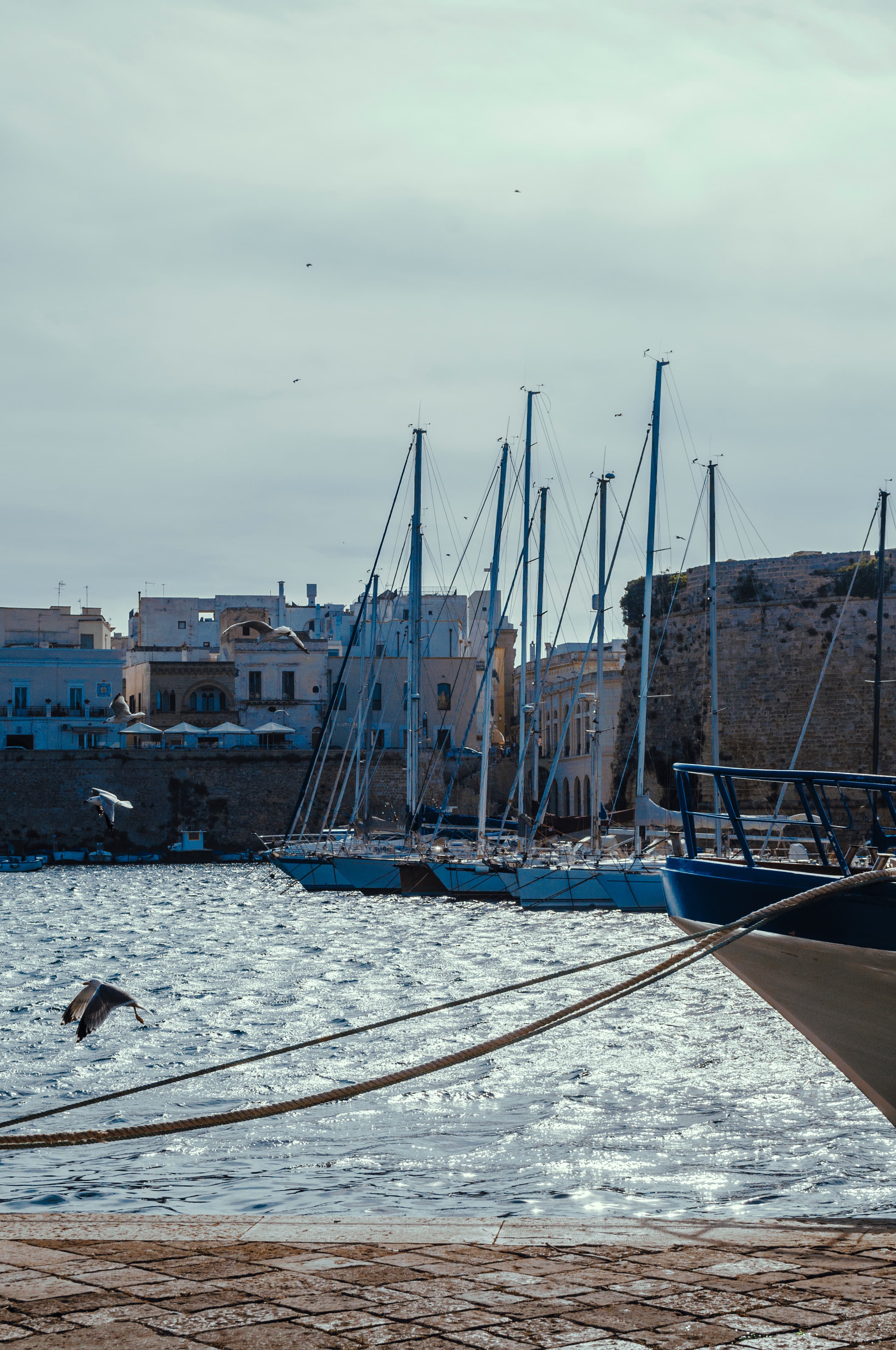 Gallipoli - Immagine 3