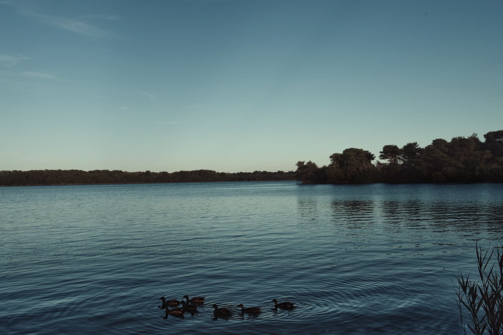 Passeggiata nella natura - Immagine 4