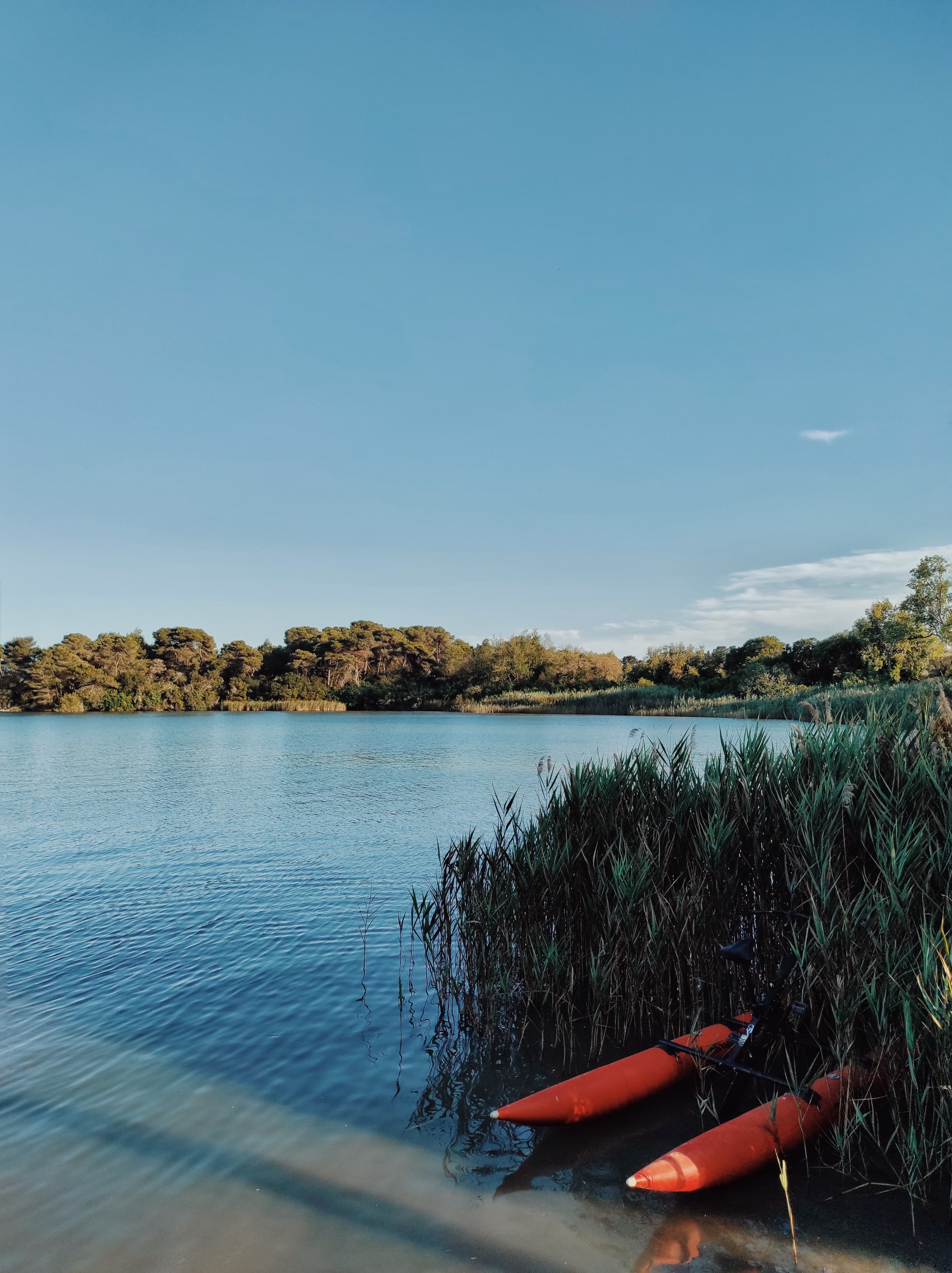 Laghi Alimini - Immagine 6