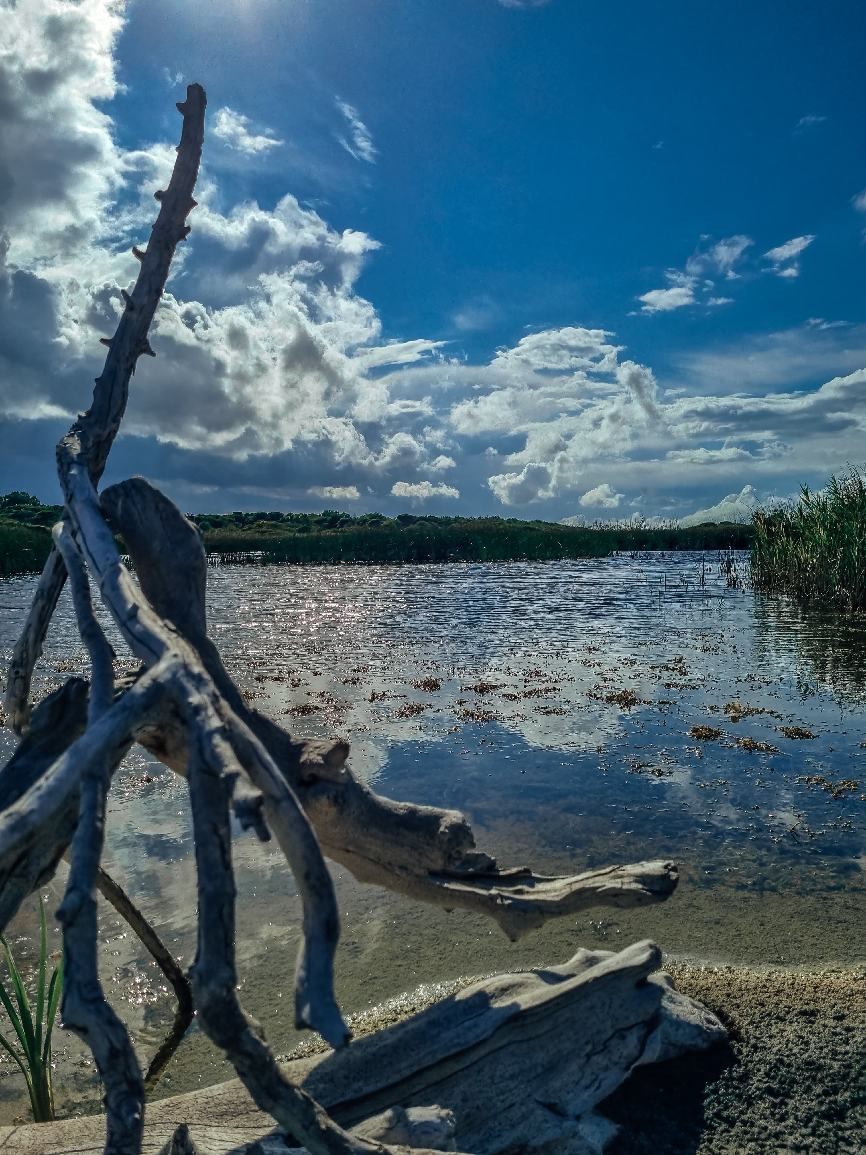 Le Cesine - Immagine 4