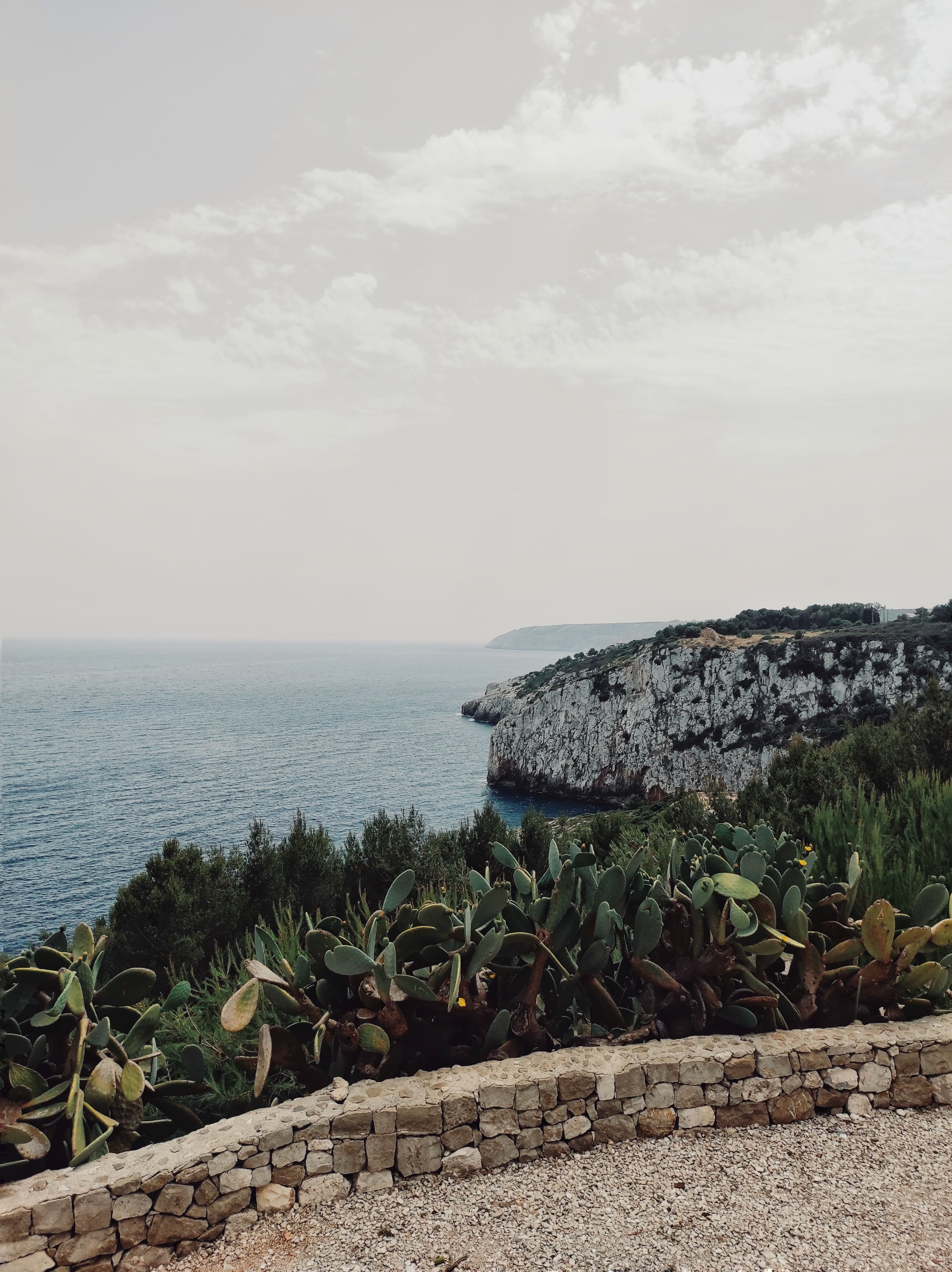 Marina Serra - Immagine 2