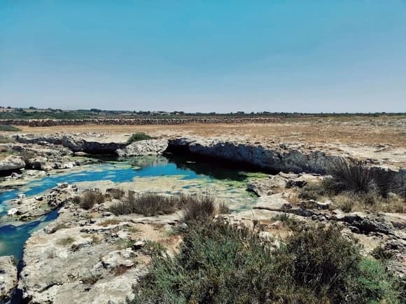 piscine naturali salento